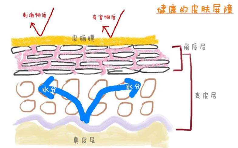 軍事迷的護(hù)膚解讀：我將合理清潔、保濕、防曬